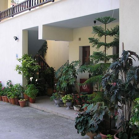 Aris Junior Studio & Apartments Neo Klima Zewnętrze zdjęcie
